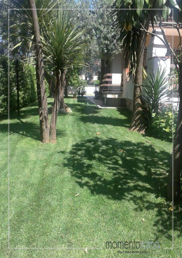 Momentoroma B&B Ciampino Ngoại thất bức ảnh
